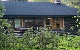 Villa Karhunkehto